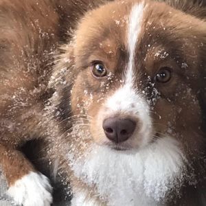 Meet your Posher, Kat